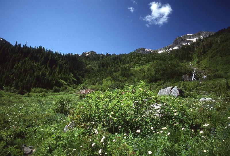 Bailey Trav 003 Aug-1989 Low on the Trail.jpg